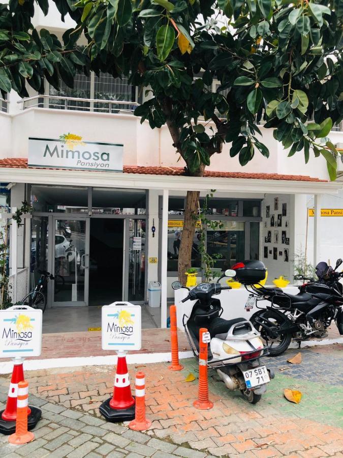 Mimosa Pension Κας Εξωτερικό φωτογραφία