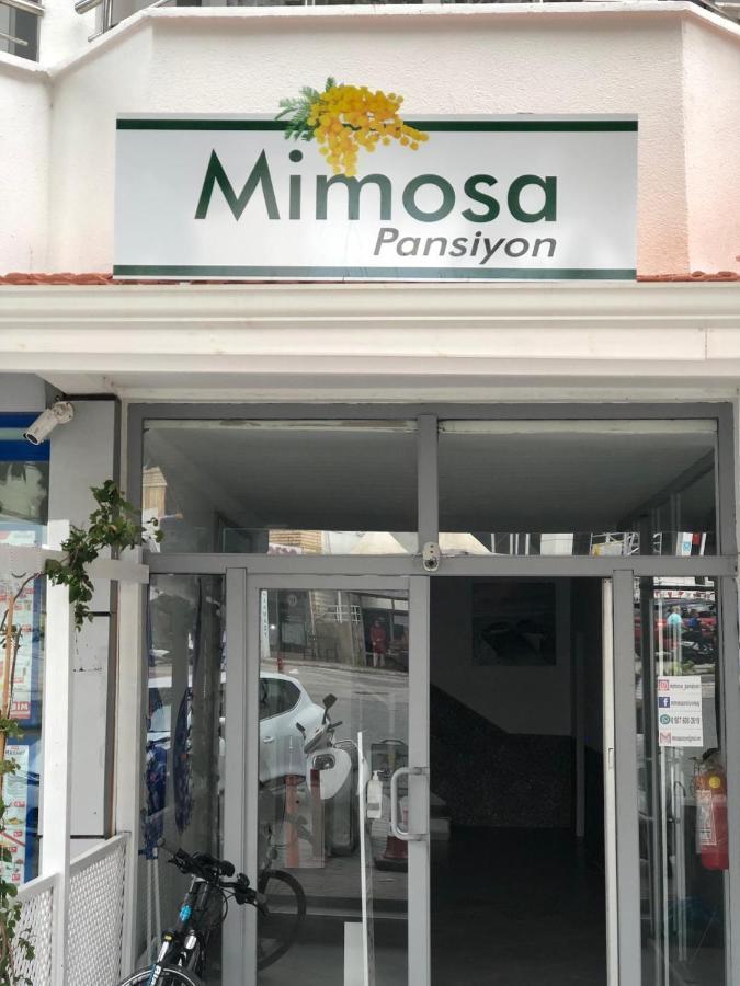 Mimosa Pension Κας Εξωτερικό φωτογραφία