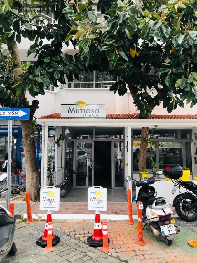 Mimosa Pension Κας Εξωτερικό φωτογραφία