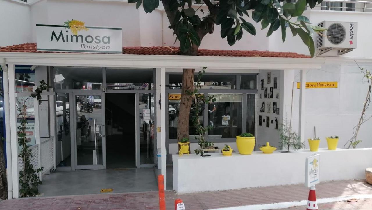 Mimosa Pension Κας Εξωτερικό φωτογραφία